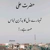 sabahat.khalil8