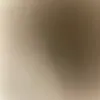 danielalupi3