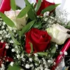 om.sara552