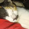 cutecancer23