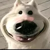 kimthoa221109