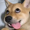 kechuyenaudio0101