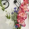 lilymaik
