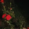 user21819420801283