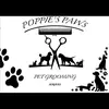 poppies_paws