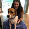 saraandwaffles