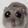 vulturebaby