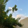 rawanba12