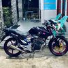 tigerblackboy