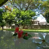 intanpratama09