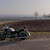 grenni391