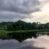rosineidedasilvas3