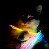 glowstick_cat