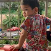 sisdalilah