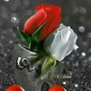 bitiabdulahi