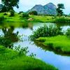 hamedsalman4