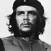 dimitris505