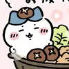 takushiksat