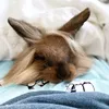 littletobs