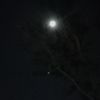 nightrider697