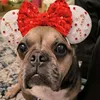 franziblabbelblub