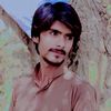 (Ⓜ️  Qasim )