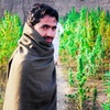 thewordafridi6