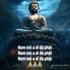 phucpham5475