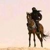 hariqat5