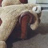 _legchair