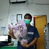 iyan.mardiana