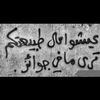 tawfiqshafei2