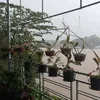 carot3.gmai.com1