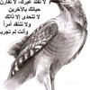 user9533711318278
