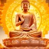 nguyentan3.5