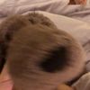 leolee0428