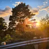 arvieyouchui