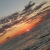 ali.diab99