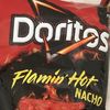 flaminhotcheetoz9