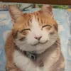 ツイテルスリーセブン