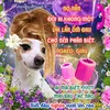 whojan.s