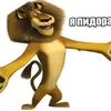 iampidoras_10