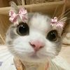 🍓