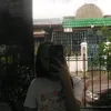 rafaemery_