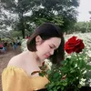 lechihoang1