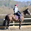 em._.equestrian