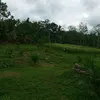 kuli.213