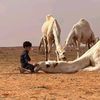 علي | ١٤٢٠ هـ 📿