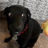 nash_eating_fruit