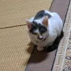 naoki_48